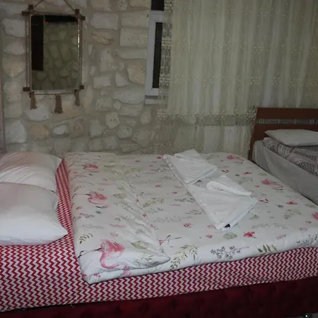 Crazy Horse Hostal *